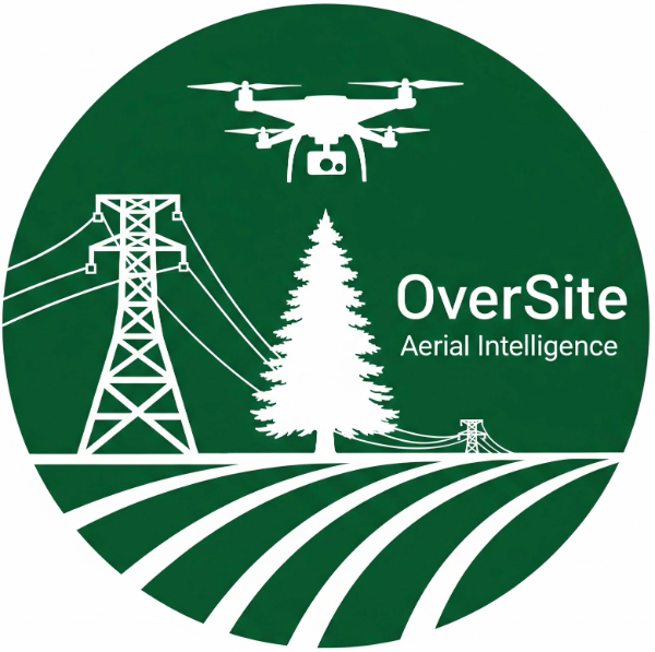 OverSite Aerial Intelligence logo