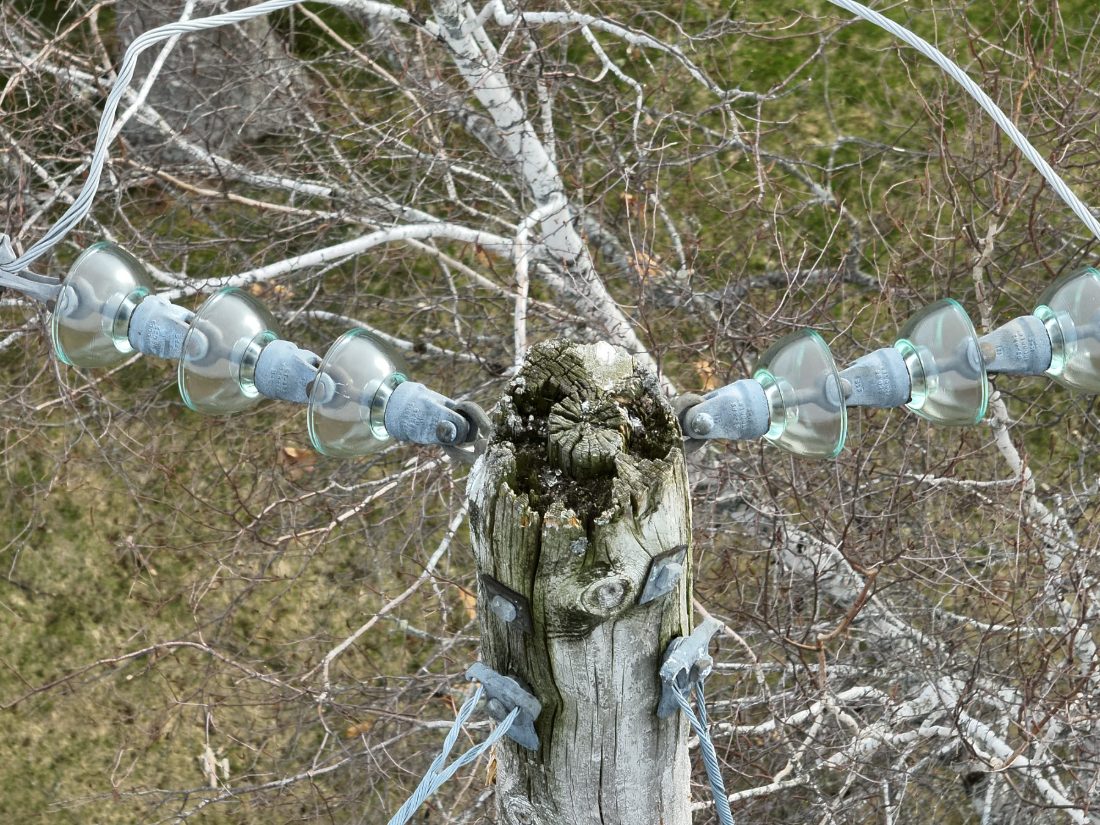 Pole top decay · insulator inspection